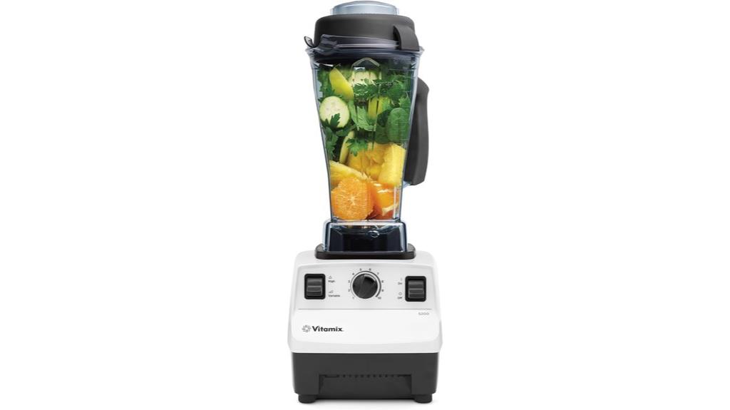 vitamix 5200 blender review