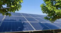 shade reduces solar efficiency