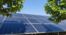 shade reduces solar efficiency