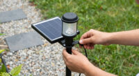15 Best Solar-Powered Outdoor Lights in 2026