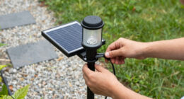 15 Best Solar-Powered Outdoor Lights in 2026