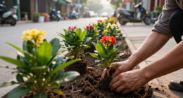 Quiet People Beautify Hanoi Streets To Celebrate National Day 2.9 - Laodong.vn